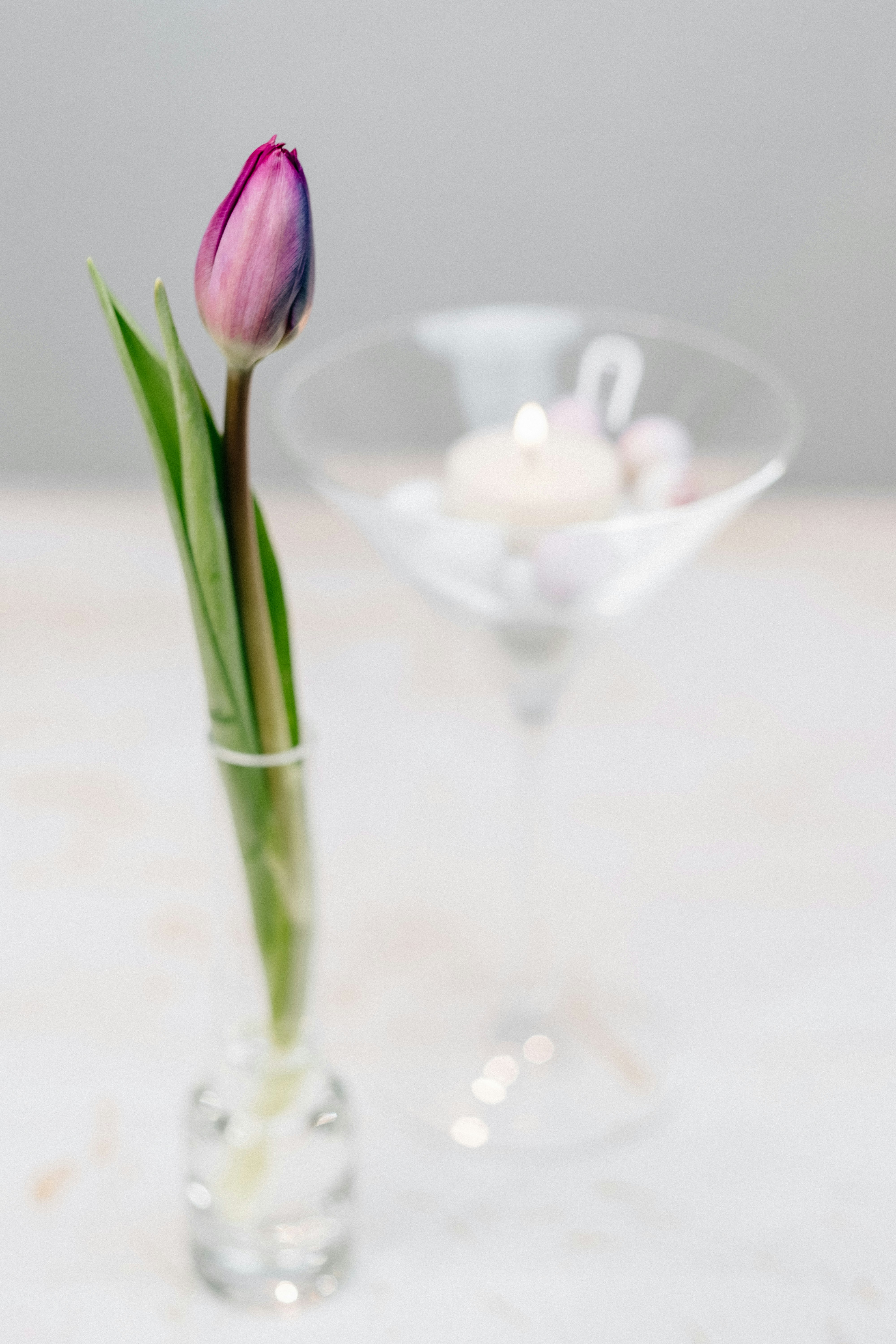 pink tulips on clear glass vase